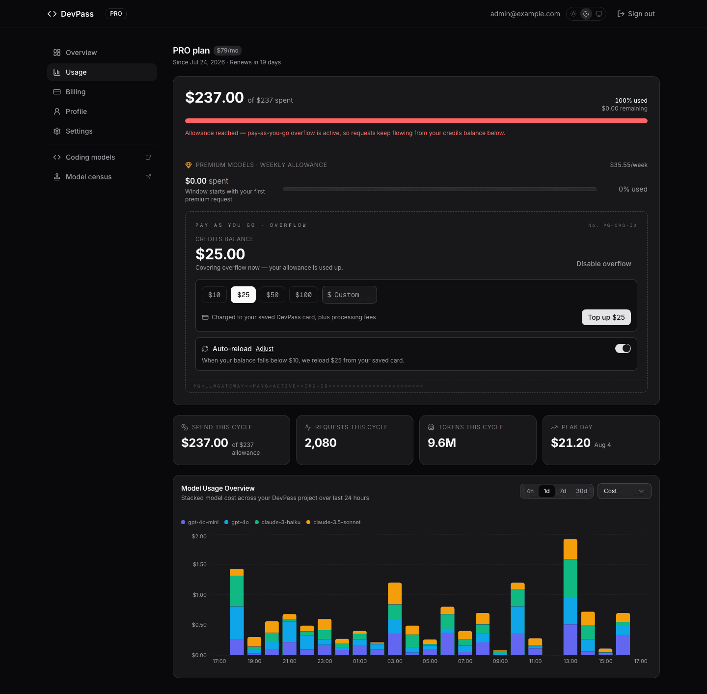 The DevPass Usage page with pay-as-you-go overflow enabled: exhausted allowance bar, credits balance, top-up presets, and auto-reload